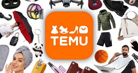 The top 5 most popular items on Temu